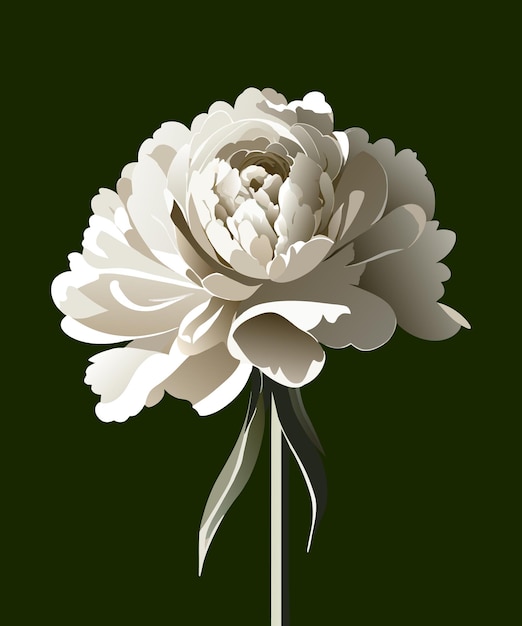 Vector white carnation flower