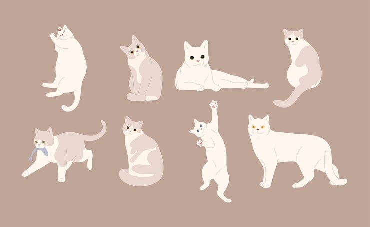 Vector  고양이 16