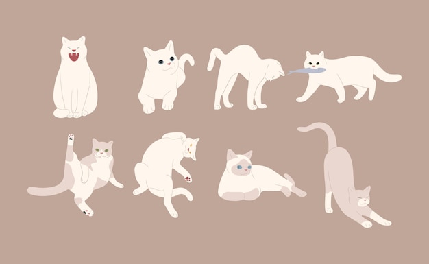 white cat 2