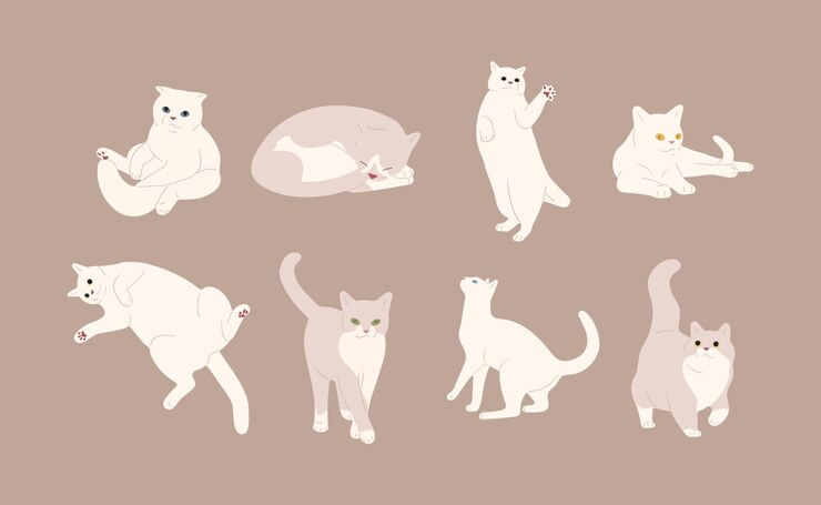 Vector  고양이 3