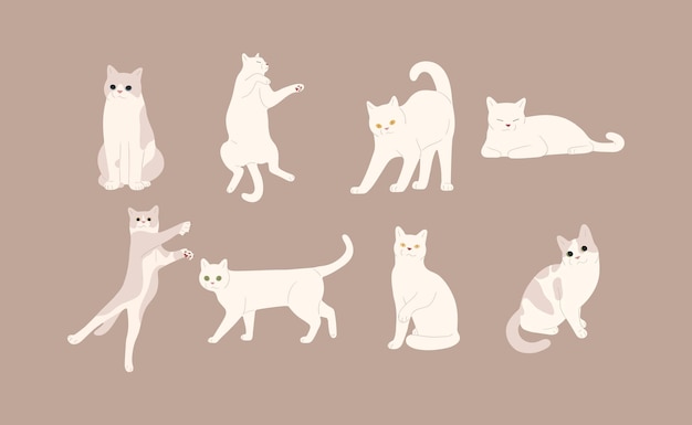 Premium Vector | White cat 5