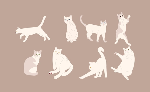  고양이 7
