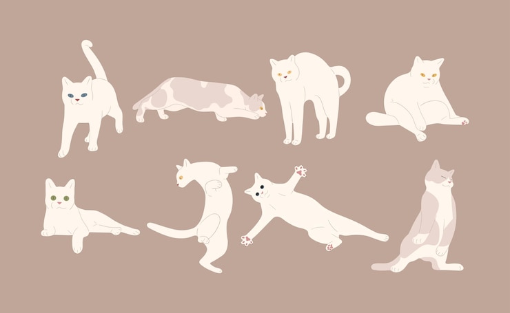Vector  고양이 8