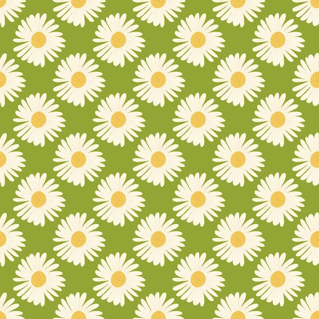 Vector white colored daisy flowers ornament seamless pattern in hand drawn style. green background.