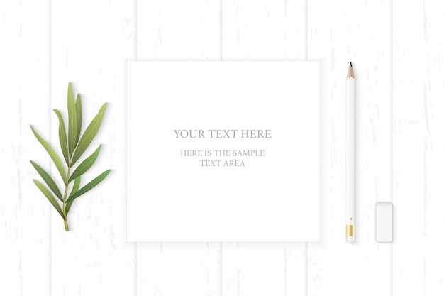 white composition paper with pencil and tarragon leaf on wooden background