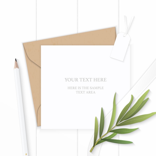 Vector white composition paper with pencil and tarragon leaf on wooden background