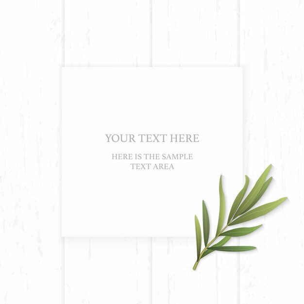 Vector white composition paper with tarragon leaf on wooden background