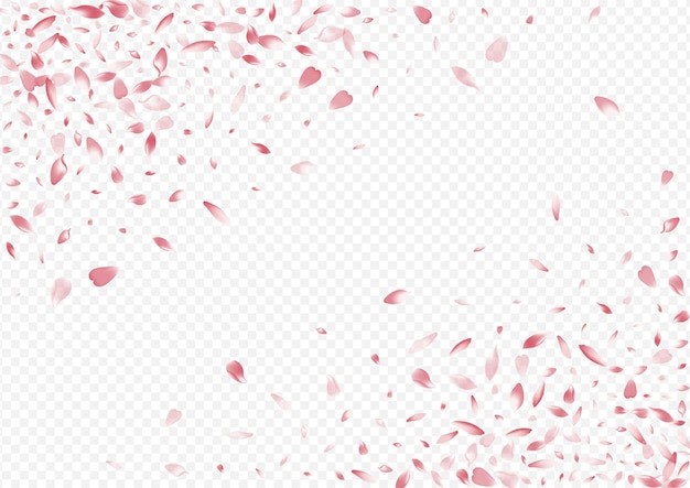 White Confetti Vector Transparent Background. Peach Realistic Backdrop. Flower Fly Design. Tree Overlay Texture. Light Blossom Rain Card.