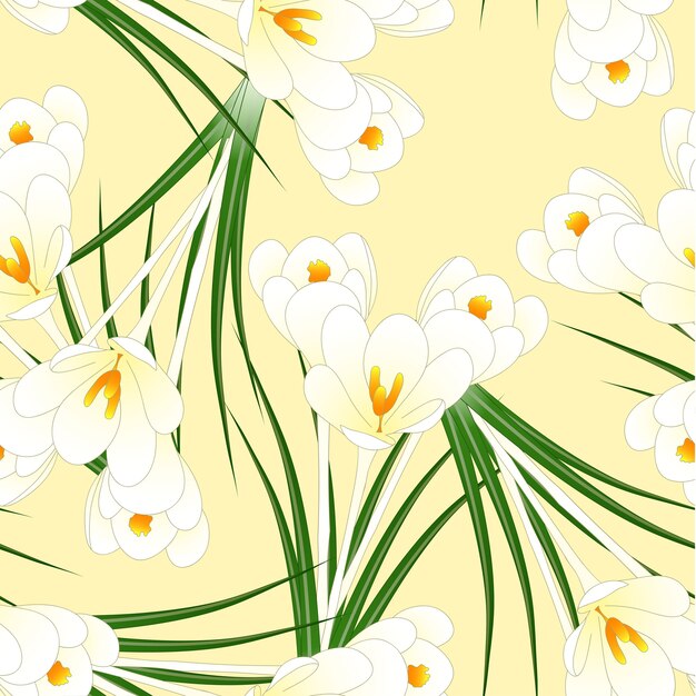 베이지 색 상아 배경에 흰색 크 로커 스 꽃