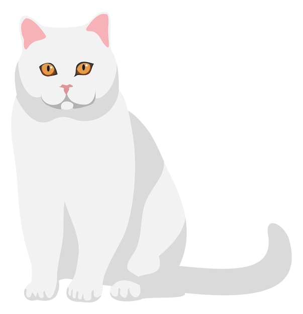 Vector white cute kitten icon cartoon cat sitting