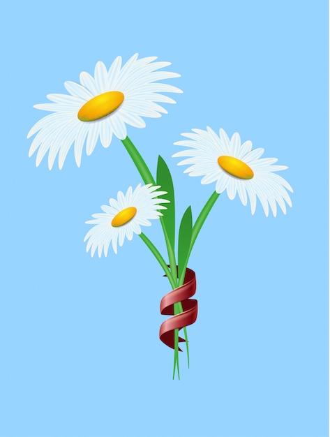 White Daisy Blossom on Sky Blue Advertising Place