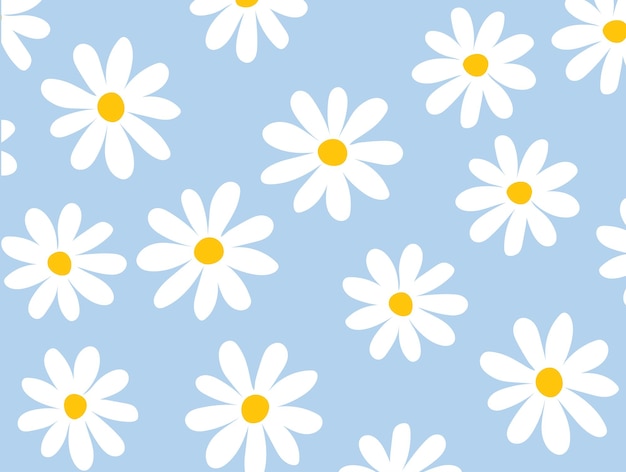 White Daisy flower on blue background