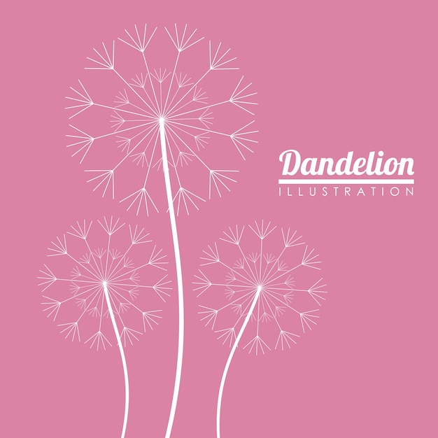 White dandelion icon