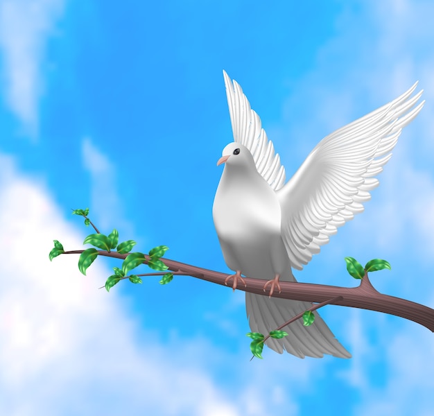 White dove illustration in realistic design