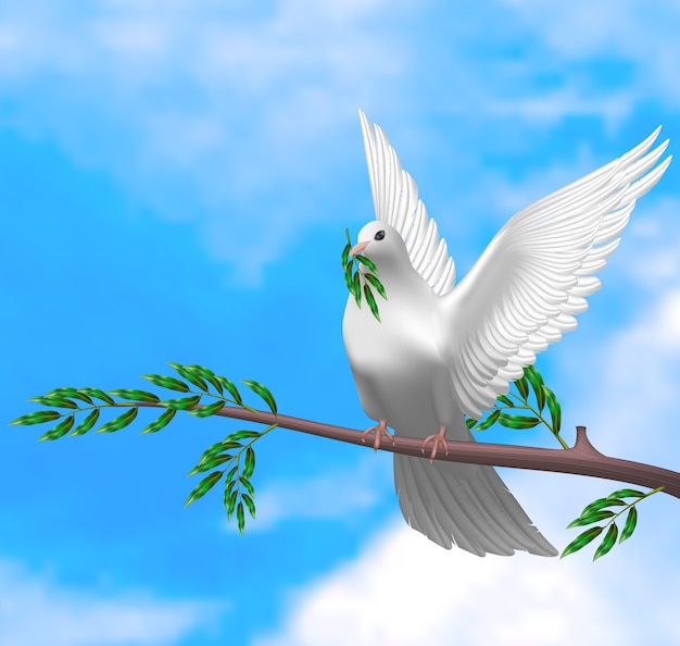 White dove illustration in realistic design