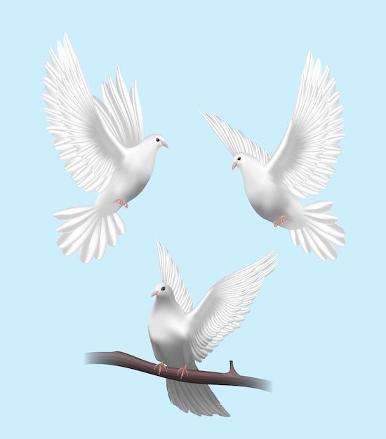 Vector white doves in realistic design