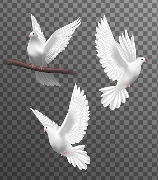 White doves in realistic design