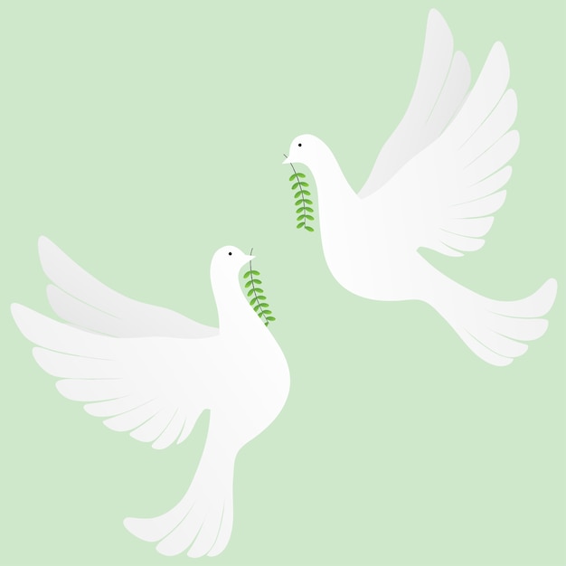 White doves with a green twig olive