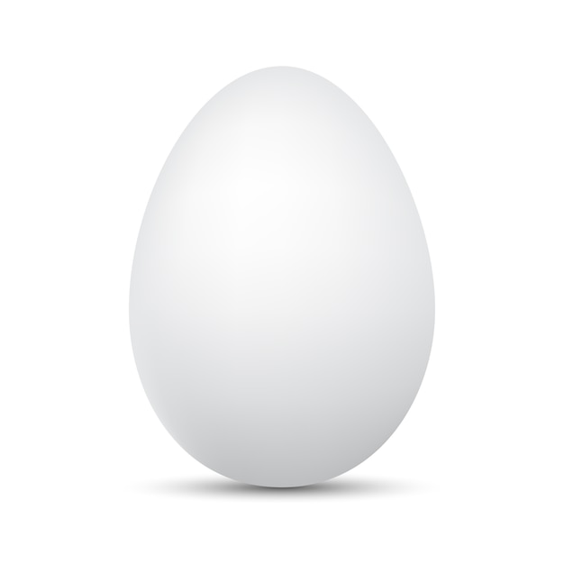 White Egg .  illustration.