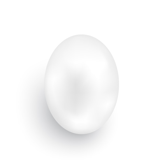 White egg isolated