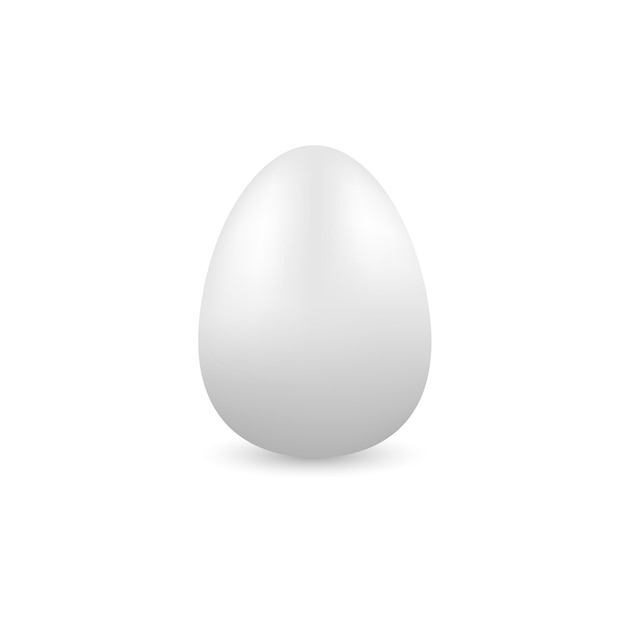 White egg on a white background