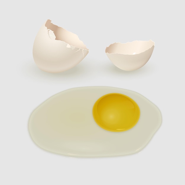 벡터 흰색 달걀 껍질과 회색 배경에 고립 된 노른자