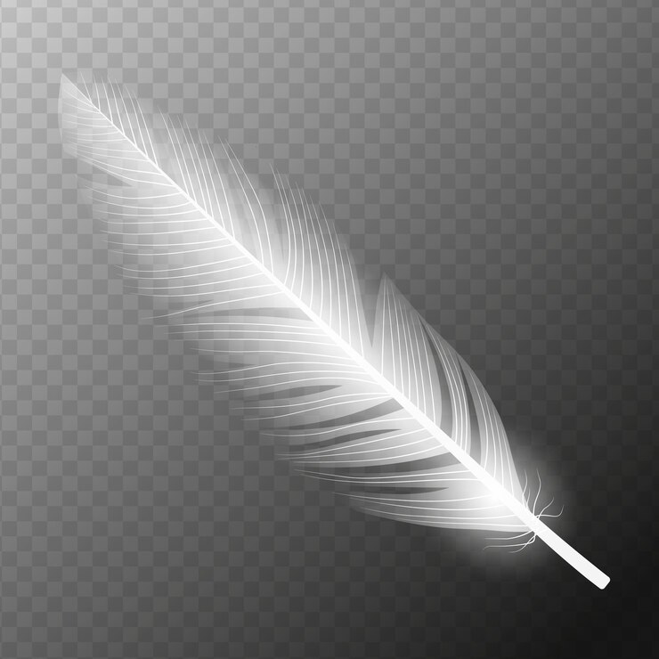 Vector white feather flying realistic vector white feather isolated vector illustration eps