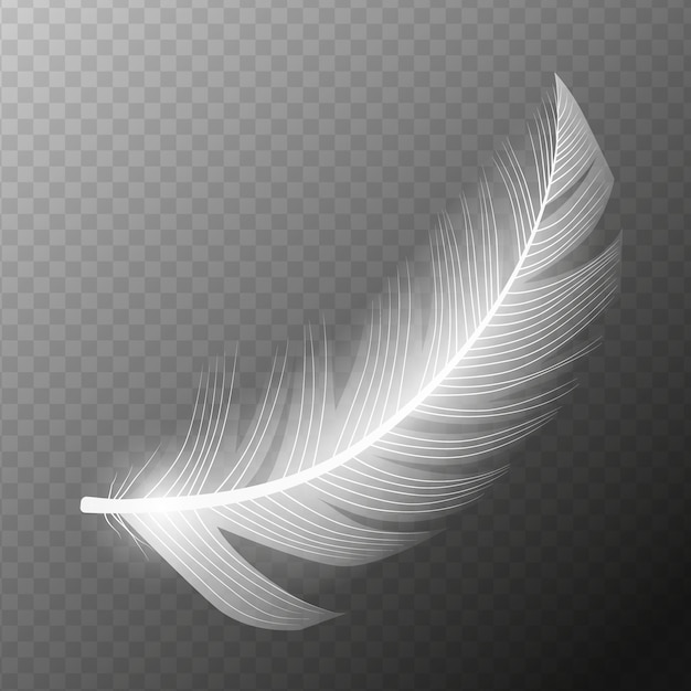 White feather flying realistic vector white feather isolated vector illustration eps