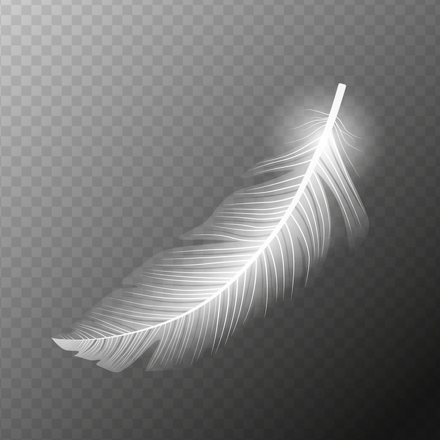 white feather flying realistic vector white feather isolated vector illustration eps