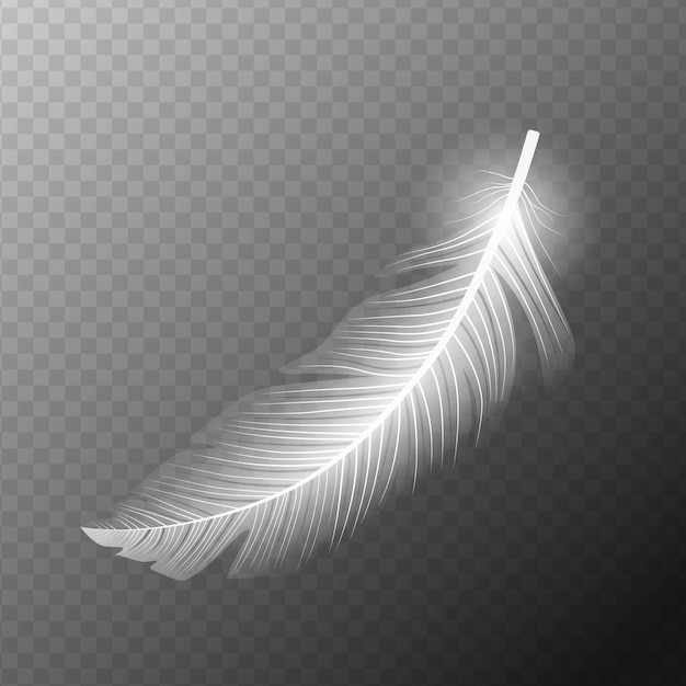 Vector white feather flying realistic vector white feather isolated vector illustration eps