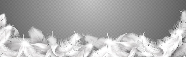 Vector white feathers. realistic curve frame with fluffy bird plume, falling softness goose, hen or swan close up plumage, style smooth border for banner poster or flyer vector isolated illustration