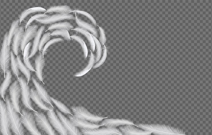 Vector white feathers wave vector realistic illustration