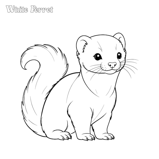 White Ferret hand drawn coloring page and outline vector design