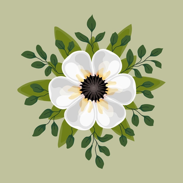 Fiore bianco floreale natura modello vettoriale foglia illustrazione fiori pianta decorazione fiore flora