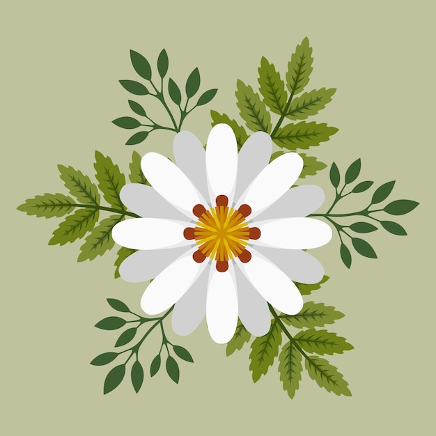 Vettore fiore bianco floreale natura modello vettoriale foglia illustrazione fiori pianta decorazione fiore flora