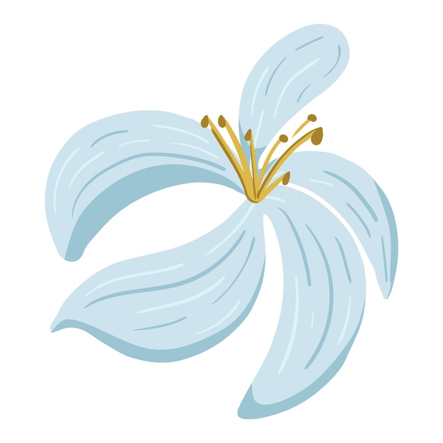 Vector white flower of lemon tree floral vector element