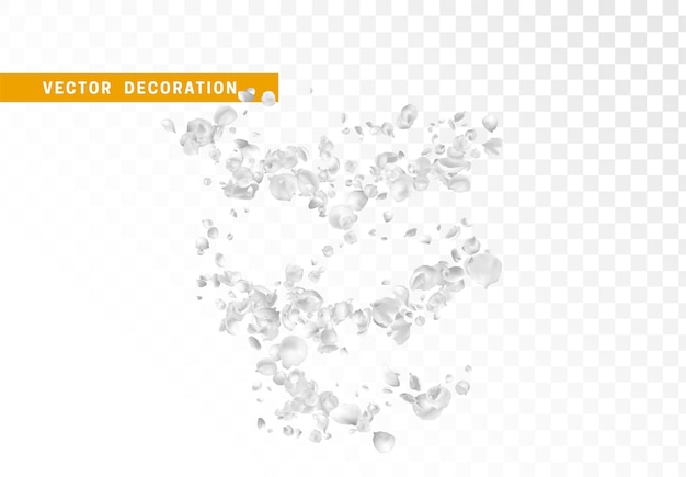 Vettore petali di fiori bianchi volano in cerchio isolati su sfondo trasparente. illustrazione vettoriale