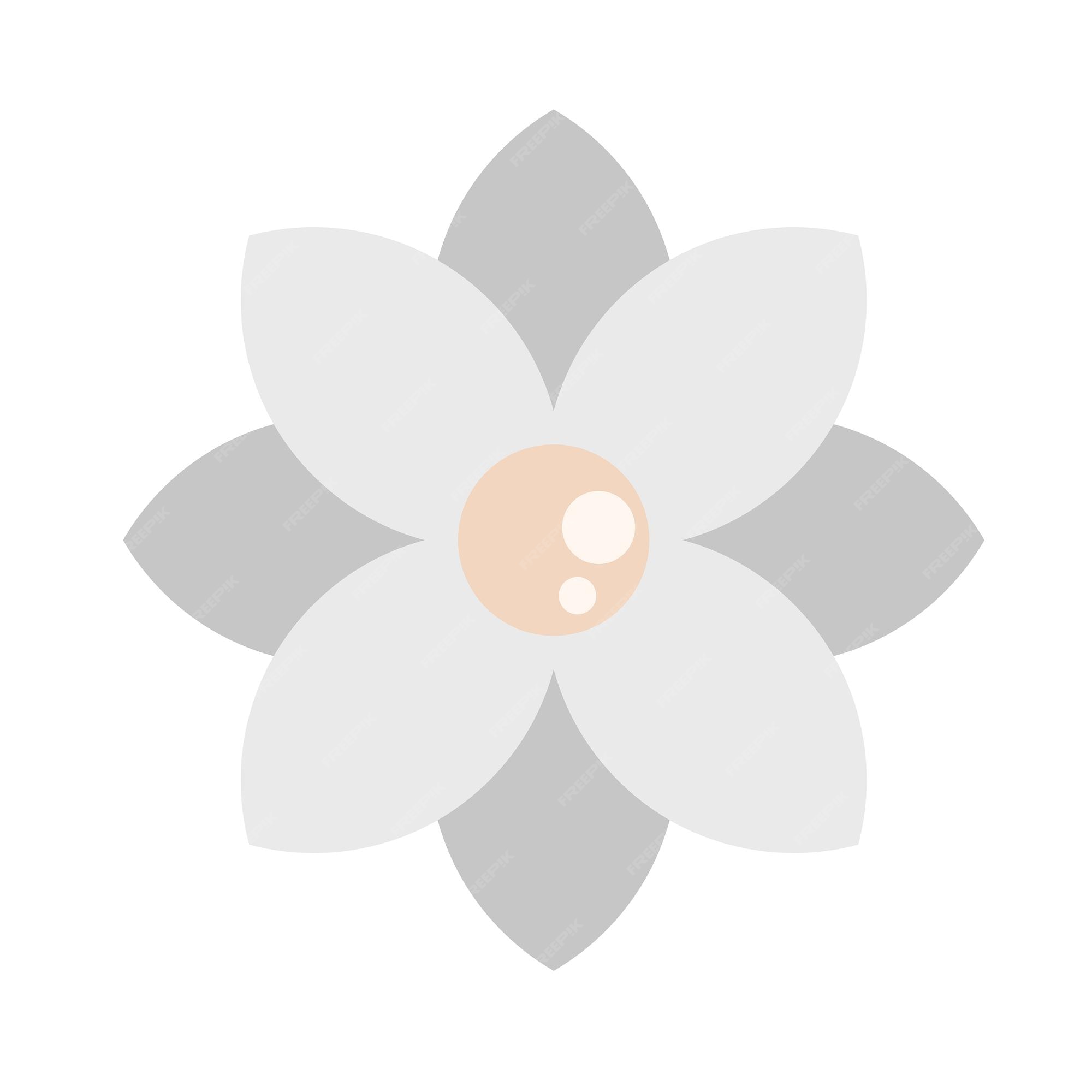 Premium Vector | White flower vector illustration