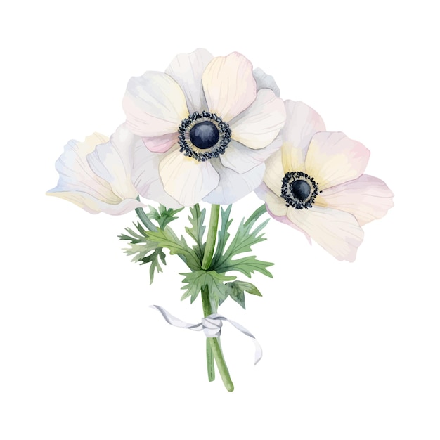 Vettore bouquet di fiori bianchi con papaveri di anemone di campo e illustrazione vettoriale ad acquerello a nastro