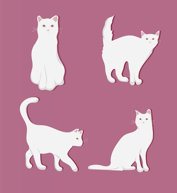 Vector white fluffy cute funny cats