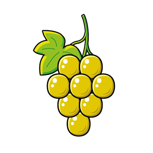 Vector white grape bunch