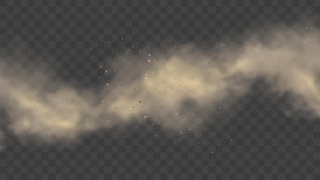 Vector white or gray smoke, realistic mist or dust motion, cloud on transparent background or fog in light.