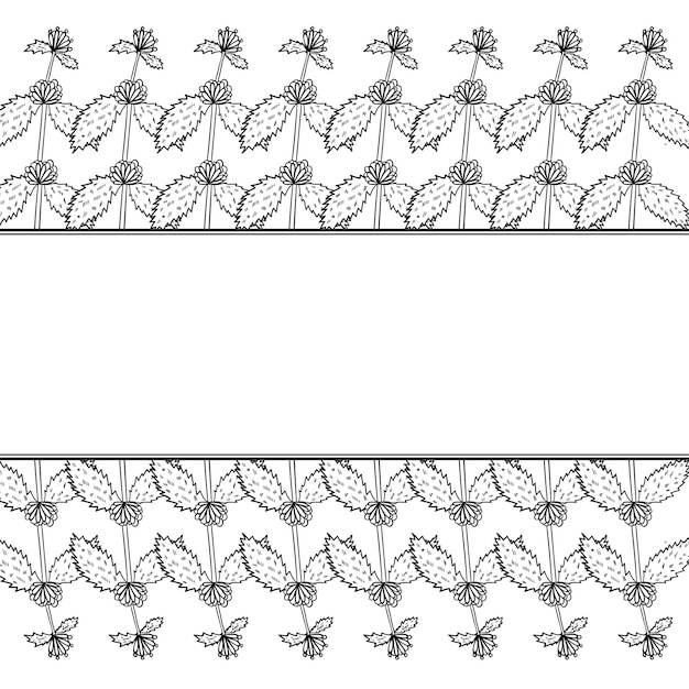 Vector white horehound border frame