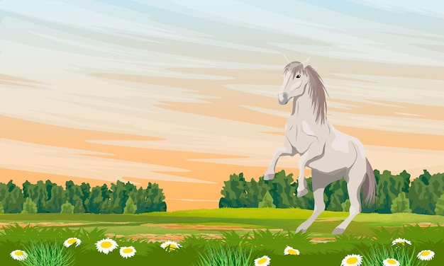 Vector the white horse reared up grass field in daisies equus ferus caballus