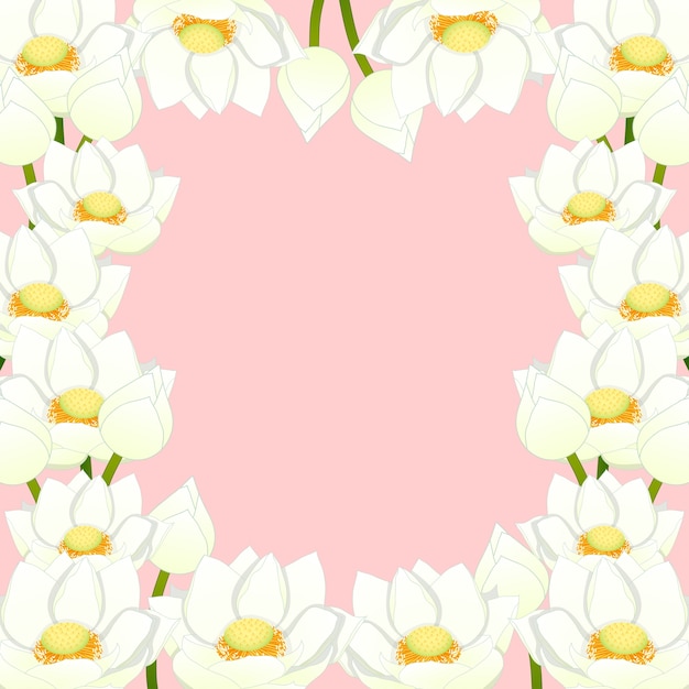 Vector white indian lotus border