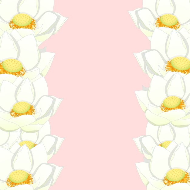 Vector white indian lotus border