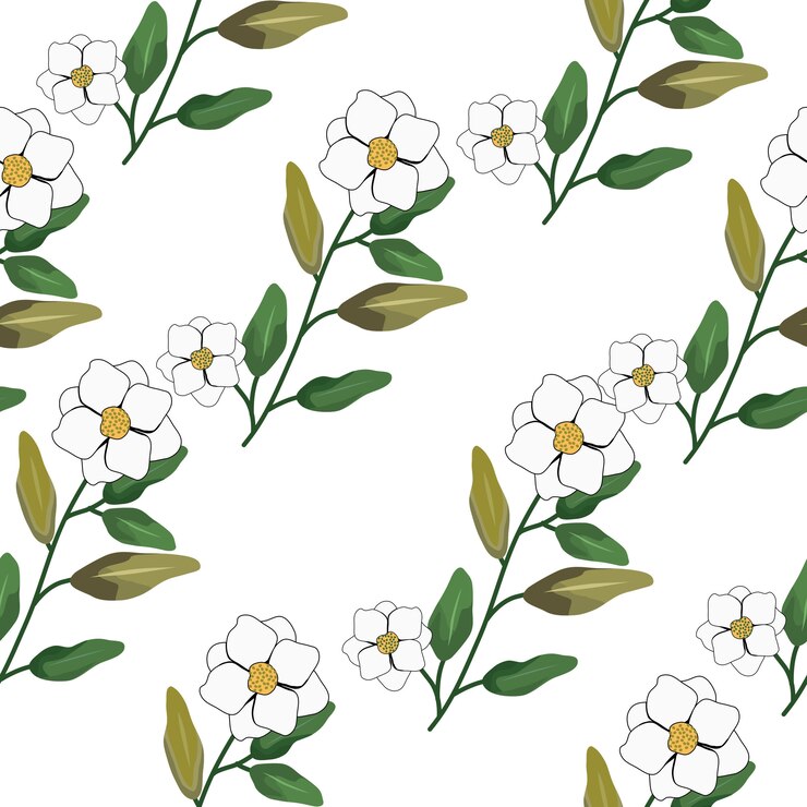 Premium Vector | White jasmine flower