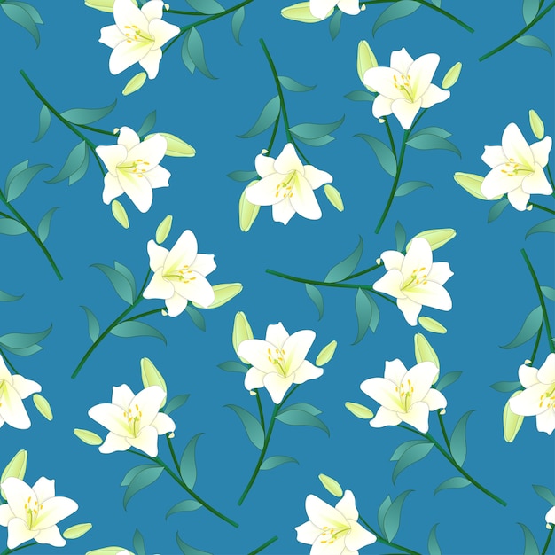 White lily on blue background