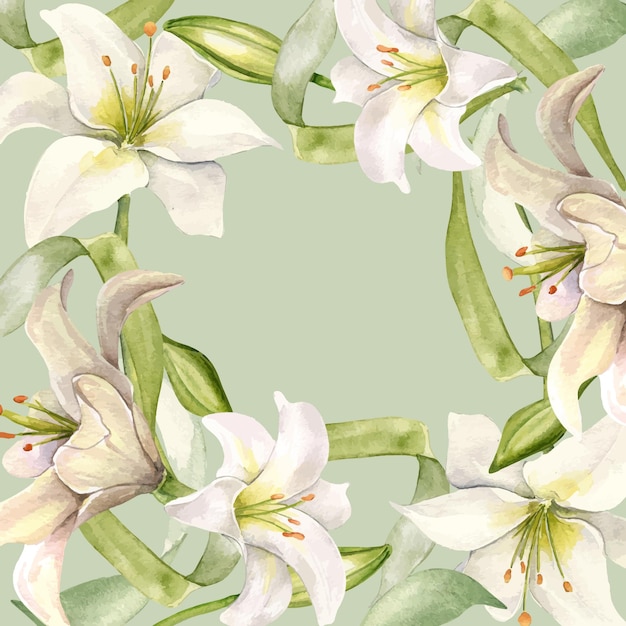 white lily and buds watercolor isolated on gray white flower and stem botanical illustration hand drawn frame with lily and leaves design for wedding invitation in church christen easter card
