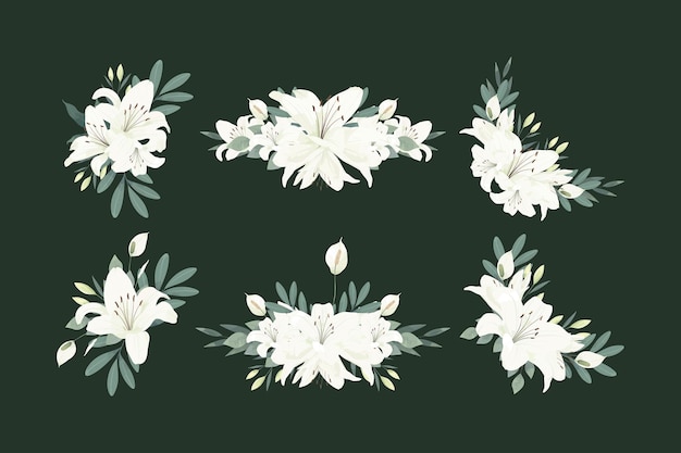 Vector white lily flower illustration set